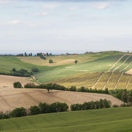 Castello Di Montegridolfo
